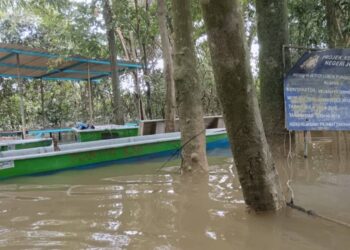 KEADAAN air banjir di Jeti Lubuk Pungkur yang masih melepasi tebing dan menjejaskan pendapatan pengusaha bot memancing di Sungai Kahang, di Kluang, Johor.