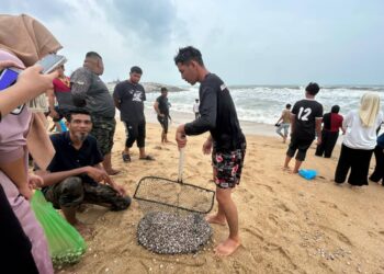 ORANG ramai mengutip kerang yang terdampar di Pantai Sura, Dungun, Terengganu. - UTUSAN/NIK NUR IZZATUL HAZWANI NIK ADNAN