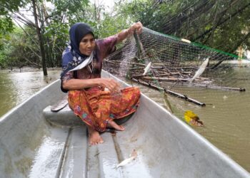 AZIZAH Abdullah mengangkat pukat ikan yang ditahan di belakang rumahnya di Kampung Lubok Gong Rantau Panjang, Kelantan. 
– UTUSAN/ROHANA ISMAIL