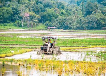 KOS penghasilan padi yang tinggi termasuk penggunaan traktor pembajak memerlukan penetapan harga lantai belian padi dikaji semula. - UTUSAN/SHAHIR NOORDIN