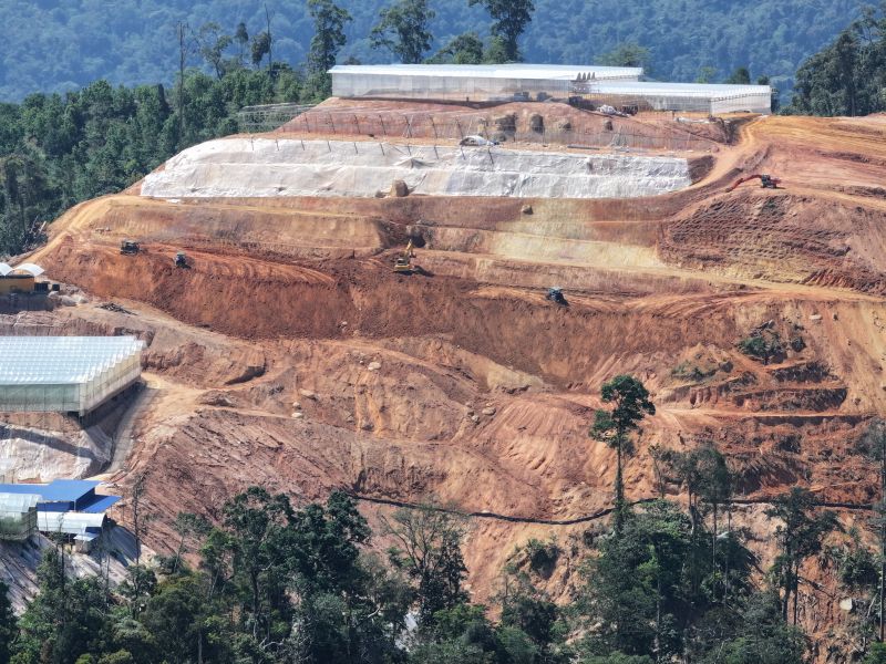 Penerokaan tanah berleluasa jejas suhu Cameron Highlands