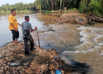 PENDUDUK menunjukkan keadaan ban pecah menyebabkan air Sungai Kinta memasuki kebun kelapa sawit mereka ketika tinjauan di Kampung Permatang Pelandok di Pasir Salak semalam. – UTUSAN/AIN SAFRE BIDIN