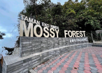 Taman Eko Rimba (TER) Mossy Forest, Cameron Highlands ditutup sementara berikutan kejadian tanah runtuh, Isnin lalu yang menutup laluan utama ke pusat pelancongan itu.-Instagram mossyforestcameronhighlands