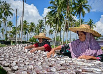 TEKNIK pengawetan makanan yang sedia ada pada masa kini merupakan teknik yang telah dimanfaatkan sekian lama oleh masyarakat Melayu tradisional sebagai elemen kearifan tempatan dalam persediaan menjamin sekuriti makanan kala dalam fasa kesukaran.