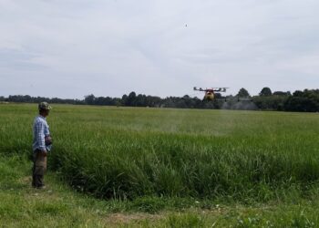 PENGGUNAAN dron adalah satu daripada usaha petani  meningkatkan hasil pengeluaran padi di Kelantan. 
– UTUSAN/ROHANA ISMAIL