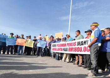 PESAWAH di Perlis berkumpul mendesak kerajaan menaikkan harga lantai belian padi kepada RM1,800 per tan metrik di Jalan Tengah Kubang Gajah-Banat, Arau, Perlis, semalam.  –  UTUSAN/ASYRAF MUHAMMAD