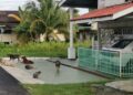 KUMPULAN anjing liar yang terdapat di Kampung Bahagia di Teluk Intan ketika tinjauan semalam. - UTUSAN/AIN SAFRE BIDIN