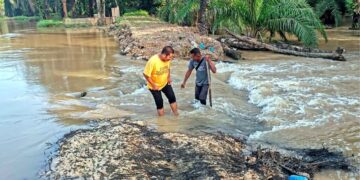 PENDUDUK menunjukkan keadaan ban pecah menyebabkan air Sungai Kinta melimpah ke kawasan kebun sawit berdekatan di  Kampung Permatang Pelandok di Pasir Salak. - UTUSAN/AIN SAFRE BIDIN