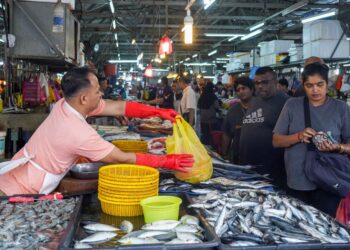 SUMBANGAN Tunai Rahmah (STR) yang mula diagihkan bermula semalam jelas dapat membantu mengurangkan beban kos sara hidup penerima sekali gus memberi manfaat kepada kira-kira 8.3 juta individu.