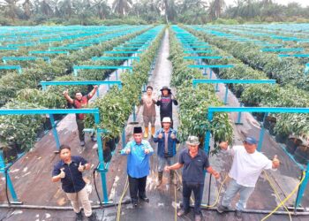 ABDUL Razak (tengah) bergambar bersama peserta di ladang cili merah seluas empat hektar. – UTUSAN/ ABDUL RAZAK IDRIS