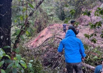 KERJA penyelenggaraan, termasuk pembersihan tanah runtuh dan pembaikan cerun jalan menuju ke TER Mossy Forest serta Gunung Irau giat dilaksanakan oleh pihak berkaitan