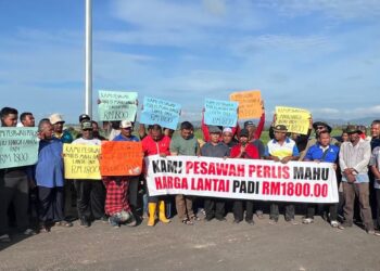 PESAWAH di Perlis berkumpul mendesak kerajaan menaikkan harga lantai belian padi kepada RM1,800 per tan metrik 
di Jalan Tengah Kubang Gajah-Banat, Arau, Perlis, hari ini.-UTUSAN/ASYRAF MUHAMMAD