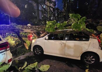 ANTARA kereta yang dihempap pokok besar ketika hujan lebat di ibu negara, hari ini