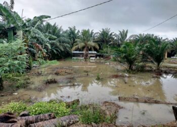 ANTARA kawasan yang terjejas akibat banjir di Kota Tinggi dan Kulai, Johor.