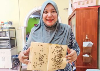 SITI Farhana Buyung menunjukkan pelekat dipenuhi lalat ketika ditemui  di Kampung Sungai Batu, Pedas Tengah, Rembau, Negeri Sembilan, semalam. – UTUSAN/NOR AINNA HAMZAH