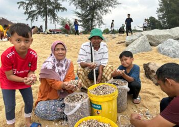 ORANG ramai mengutip kerang yang terdampar di Pantai Sura, Dungun, Terengganu. -UTUSAN/NIK NUR IZZATUL HAZWANI NIK ADNAN