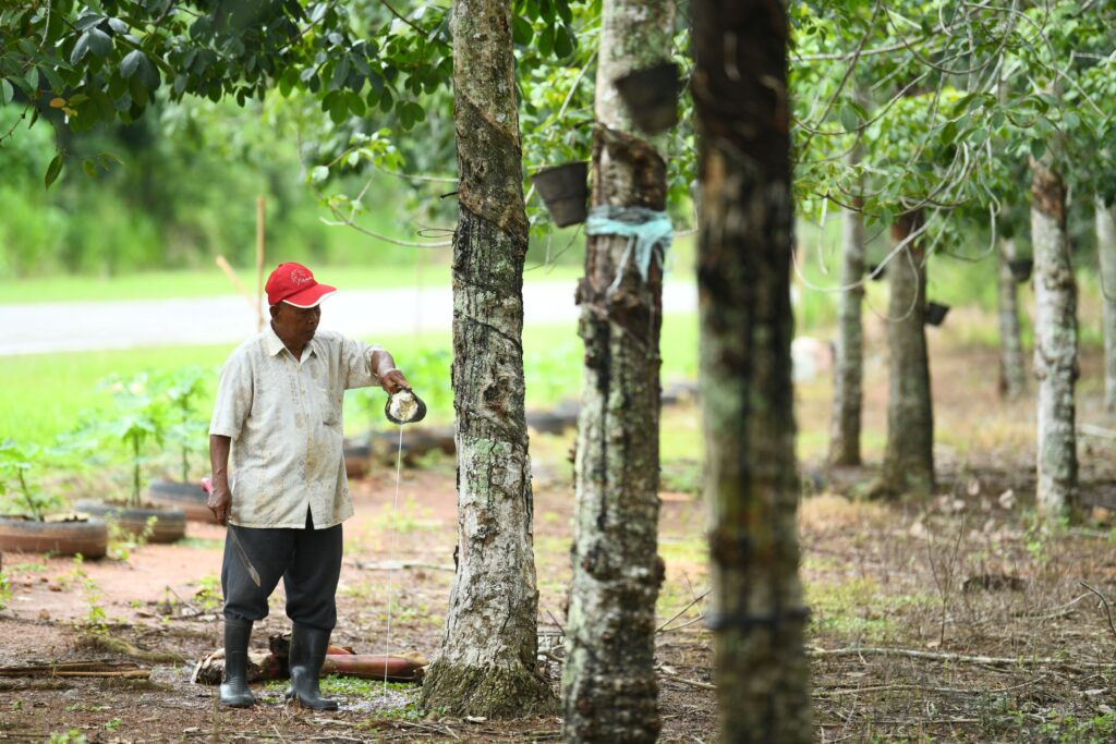 Industri getah perlu nafas baharu