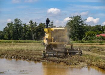 PERTANIAN yang menjadi sumber utama pendapatan komuniti ini, memerlukan adaptasi teknologi untuk meningkatkan produktiviti.