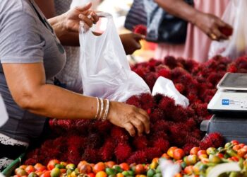 MASA depan industri rambutan terletak pada keupayaan semua pihak untuk memanfaatkan potensi sepenuhnya buah tempatan. - AFP