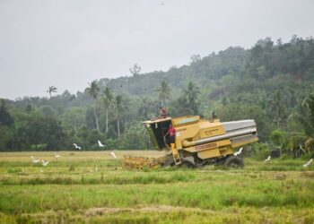 PEMANTAUAN harga sayur dan hasil pertanian yang sering melonjak tinggi semasa musim monsun perlu dilakukan dengan lebih tegas untuk mengurangkan beban pengguna.