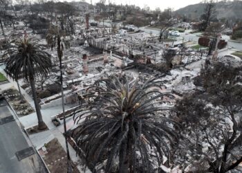 KEADAAN kawasan kejiranan yang hangus dijilat api di Pacific Palisades, California.-AFP