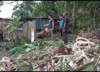 BEBERAPA penduduk menunjukkan pagar yang rosak dirempuh gajah di Felda Neram II, Kemaman, Terengganu. – UTUSAN/NIK NUR IZZATUL HAZWANI NIK ADNAN