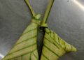 KETUPAT jantan 
(kiri) biasanya 
mempunyai ‘putik’ 
di bahagian pangkal 
berbanding ketupat 
betina (kanan) yang 
tajam di bahagian 
pangkal.