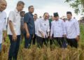 ANWAR Ibrahim meninjau sawah padi yang baru dituai selepas melancarkan Majlis Peluncuran Projek Pembangunan Infrastruktur Bagi Menyokong Penanaman Padi 5 Musim Dalam Tempoh 2 Tahun di Kawasan Muda Fasa 1 di Pida 4 dekat Ayer Hitam, Kedahsemalam. - UTUSAN/SHAHIR NOORDIN