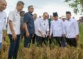 PERDANA Menteri melihat kawasan sawah padi yang baharu dituai ketika hadir menyempurnakan Majlis Peluncuran Projek Pembangunan Infrastruktur Bagi Menyokong Penanaman Padi Lima Musim Dalam Tempoh Dua Tahun di Kawasan Muda Fasa 1, Jerlun, Kedah. - UTUSAN/SHAHIR NOORDIN