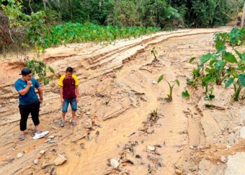 PENDUDUK menunjukkan keadaan Sungai Jalgek di Kampung Mendrod, Gua Musang, Kelantan yang cetek dan dipenuhi lumpur pasir. - UTUSAN/AIMUNI TUAN LAH