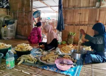 SEBAHAGIAN wanita orang asli etnik Semai menyediakan lemang jagung di Kampung Simpang Gening Paroh, Lipis, Pahang.