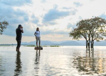 Pengunjung tidak melepaskan peluang bergambar dengan panorama indah Timah Tasoh.