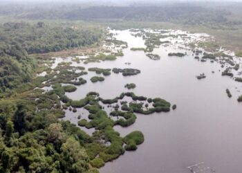 TASIK Bera merupakan Tapak Lembap Berkepentingan Antarabangsa (Ramsar) pertama Malaysia yang perlu terus dilindungi dan dipulihara agar ekosistemnya tidak musnah. - MINGGUAN/SALEHUDIN MAT RASAD