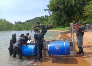 ANGGOTA Perhilitan Negeri Sembilan memasang satu perangkap dengan umpan ayam di Pantai Cermin, Port Dickson, Negeri Sembilan.-UTUSAN/NOR AINNA HAMZAH