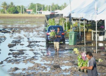 PARA peniaga mengalihkan barang selepas kawasan Pesta Angin Timur digenangi air dan selut tebal berikutan hujan lebat di Kampung Lat Seribu, Tambun Tulang, Perlis.-UTUSAN/IZLIZAN OTHMAN