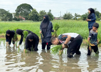 PESERTA menimba pengalaman menanam padi di Kampung Paya Luboh, Tangga Batu, Melaka. - UTUSAN/AMRAN MULUP