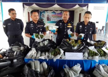 SAARI Yaacob (dua dari kanan) menunjukkan daun ketum yang dirampas dalam sidang akhbar di Ibu pejabat Polis Daerah (IPD) Jeli, Kelantan. - UTUSAN/ROHANA MOHD.NAWI