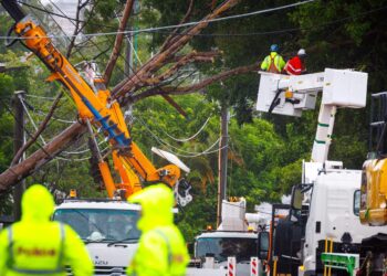 PETUGAS syarikat tenaga mengalihkan pokok tumbang akibat Siklon Alfred di Brisbane, Australia. – AFP