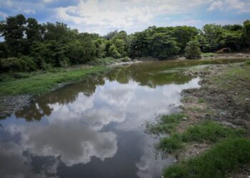 SUNGAI mencapai tahap ketepuan maksimum menerima bebanan bahan pencemar efluen sejak berabad-abad yang lalu.