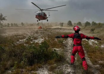 OPERASI pemadaman kebakaran hutan di kawasan seluas 176 hektar di Gebeng, Kuantan di sini ditamatkan sepenuhnya hari ini. - GAMBAR IHSAN JBPM PAHANG