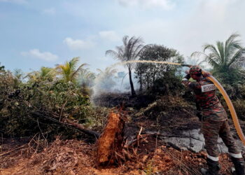 BERPUASA tidak menghalang anggota bomba memadam kebakaran ladang kelapa Kampung Bukit Palas, Gebeng di Kuantan, Pahang. 
– UTUSAN/NORHAFIZAN ZULKIFLI