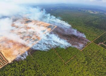 KIRA-kira 76 hektar kawasan ladang kelapa sawit musnah terbakar sejak sembilan hari lalu dalam kejadian di Jalan Pintasan Kuantan-Sungai Ular berhampiran Gebeng di Kuantan, Pahang