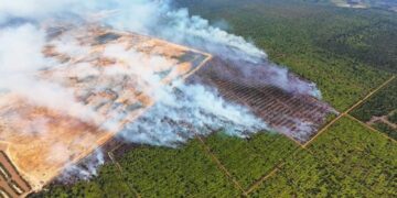 KIRA-kira 76 hektar kawasan ladang kelapa sawit musnah terbakar sejak sembilan hari lalu dalam kejadian di Jalan Pintasan Kuantan-Sungai Ular berhampiran Gebeng di Kuantan, Pahang