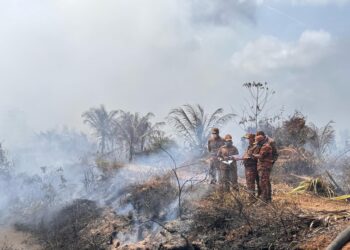 JBPM menjangkakan kerja-kerja memadam kebakaran tanah gambut di ladang kelapa Kampung Bukit Palas, Gebeng di Kuantan, Pahang. dapat dikawal sepenuhnya minggu ini.