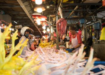 KEMENTERIAN Pertanian dan Keterjaminan Makanan (KPKM) sedang memperhalusi cadangan penubuhan Lembaga Ruminan Negara (LRN).