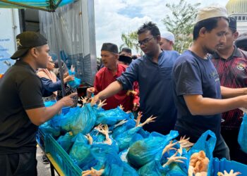 ORANG ramai tidak melepaskan peluang untuk mendapatkan ayam segar percuma di pekarangan Masjid Daerah SPT di Bandar Perda, Bukit Mertajam, Pulau Pinang hari ini.