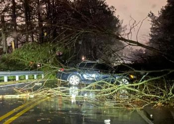 SEBUAH kereta rosak terus selepas dihempap pokok tumbang ketika ribut melanda pekan Fultondale di Alabama, Amerika Syarikat. - AGENSI