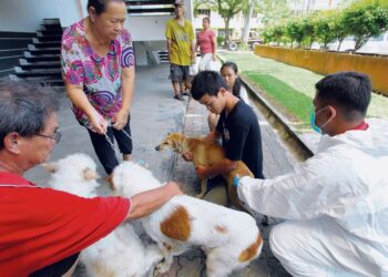 ORANG ramai dinasihat berhati-hati mengendalikan haiwan peliharaan bagi mengelak digigit dan dijangkiti rabies.- Gambar hiasan