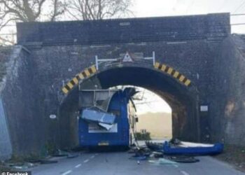 BUMBUNG bas tercabut selepas kenderaan itu melanggar sebuah jambatan kereta api di Rocky Lane, Sussex. - FACEBOOK