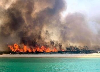 PENDUDUK Fraser Island diarahkan supaya berpindah berikutan kebakaran hutan yang semakin merebak. - AGENSI